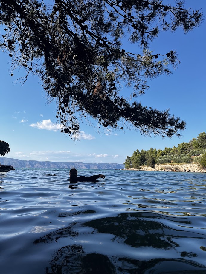 Plaža Grebišće 2024