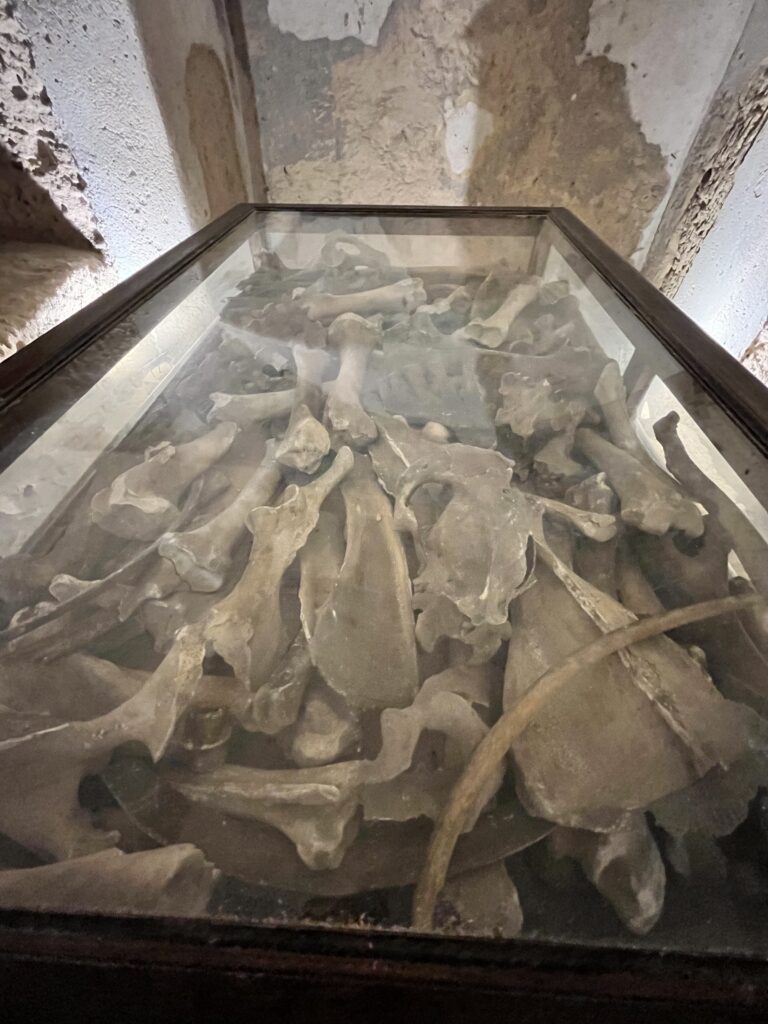 Katakumby Aleksandrii — pozostałości dawnych pochówków.