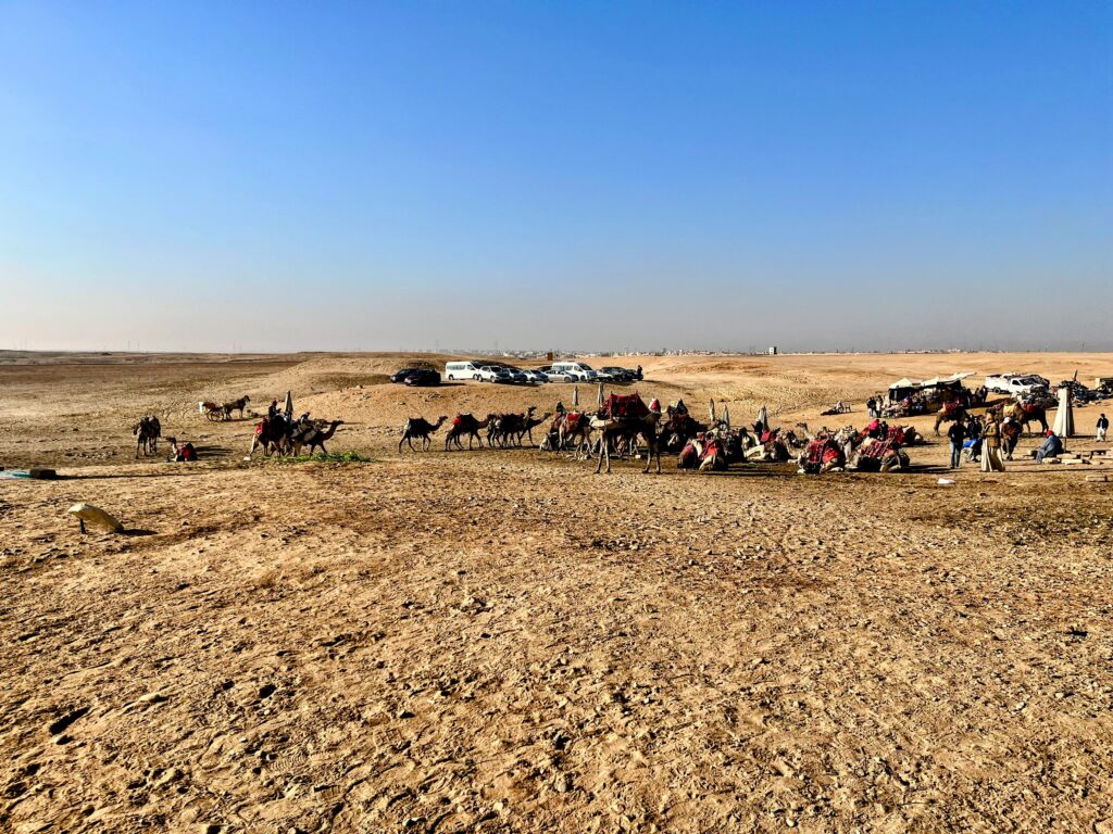 Park otaczający Piramidy