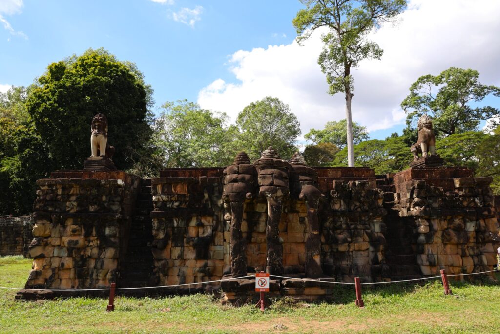 Słonie od których wzięła się nazwa tarasu