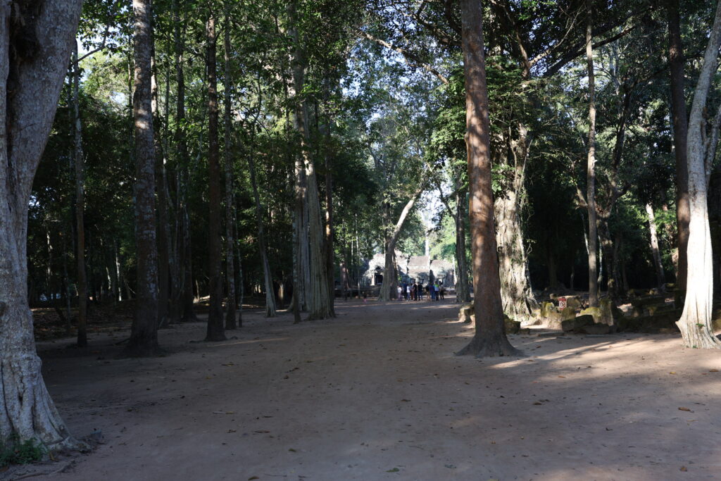 Świątynia Ta Prohm 