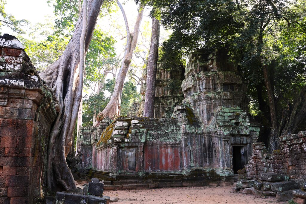 Świątynia Ta Prohm 